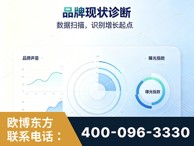 诸城-品牌现状诊断