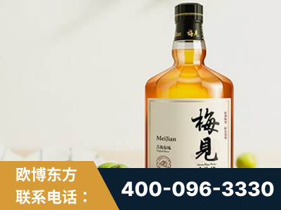 诸城-梅见青梅酒